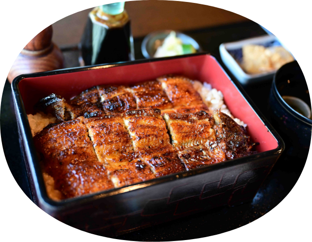 うなぎのイメージ