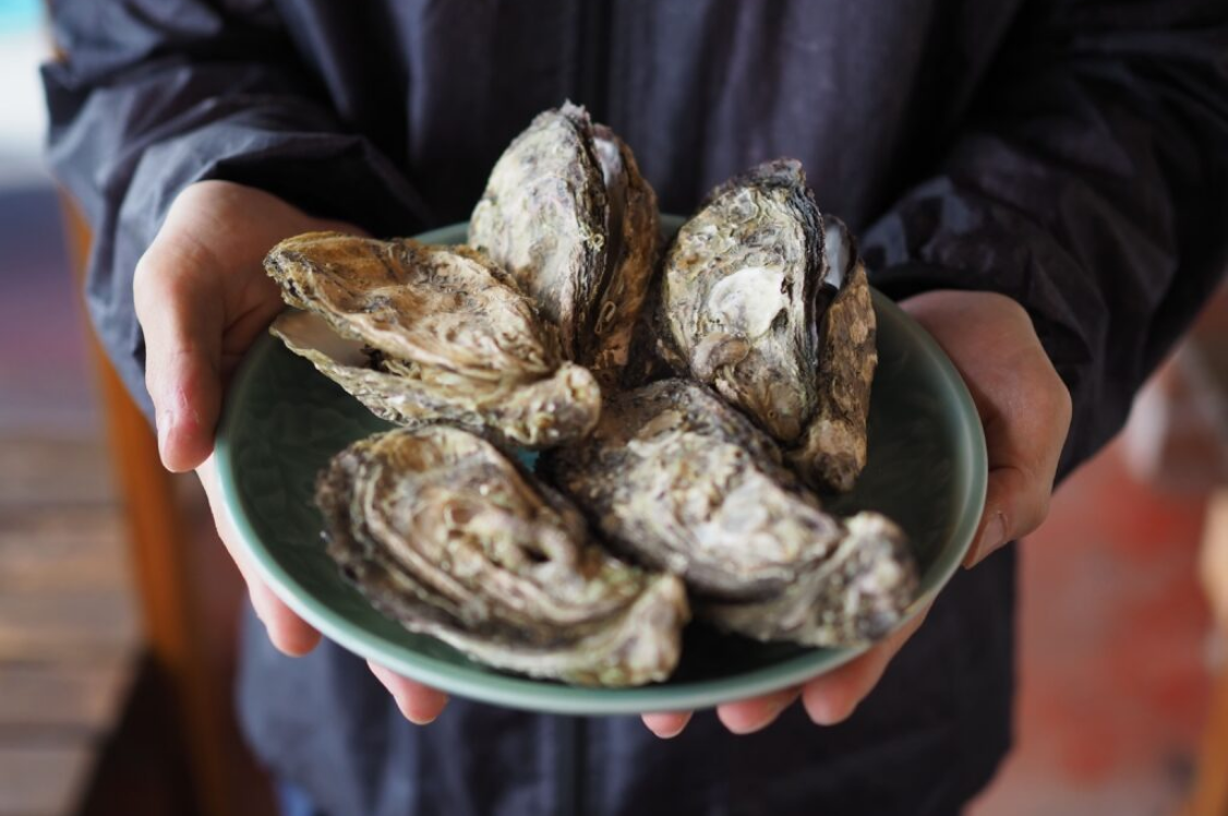 若狭かき料理のイメージ